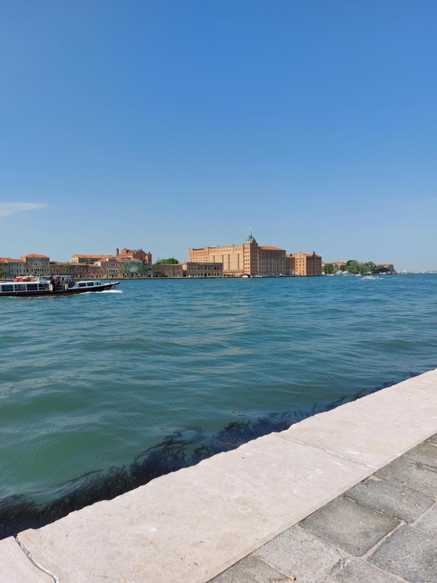 Apartment #punto Fm 2# Marghera